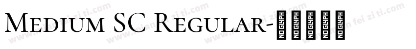 Medium SC Regular字体转换